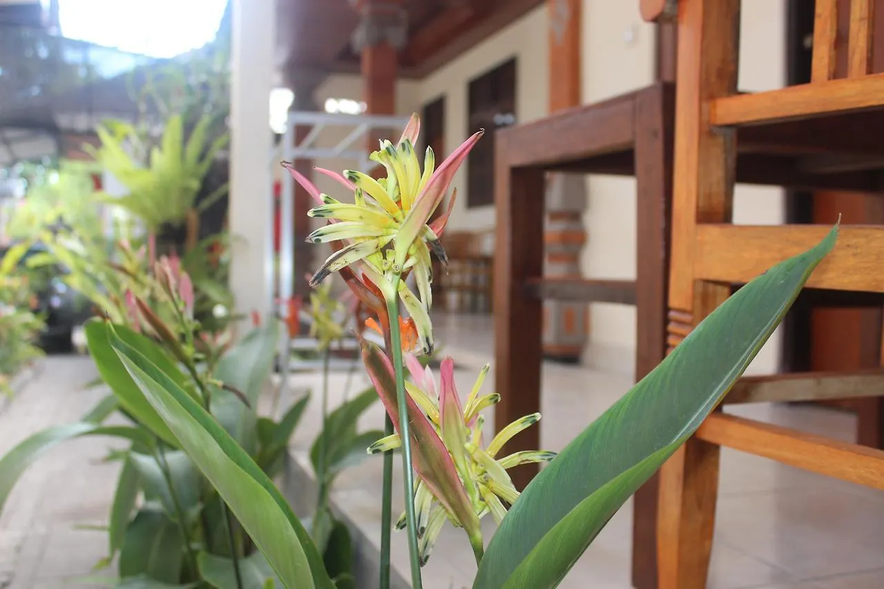 Js Guest House Seminyak 0*,